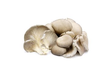 Kreivabūdės, 300 g