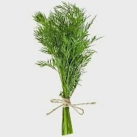Άνηθος Ελληνικός Ποιότητα Α 80gr